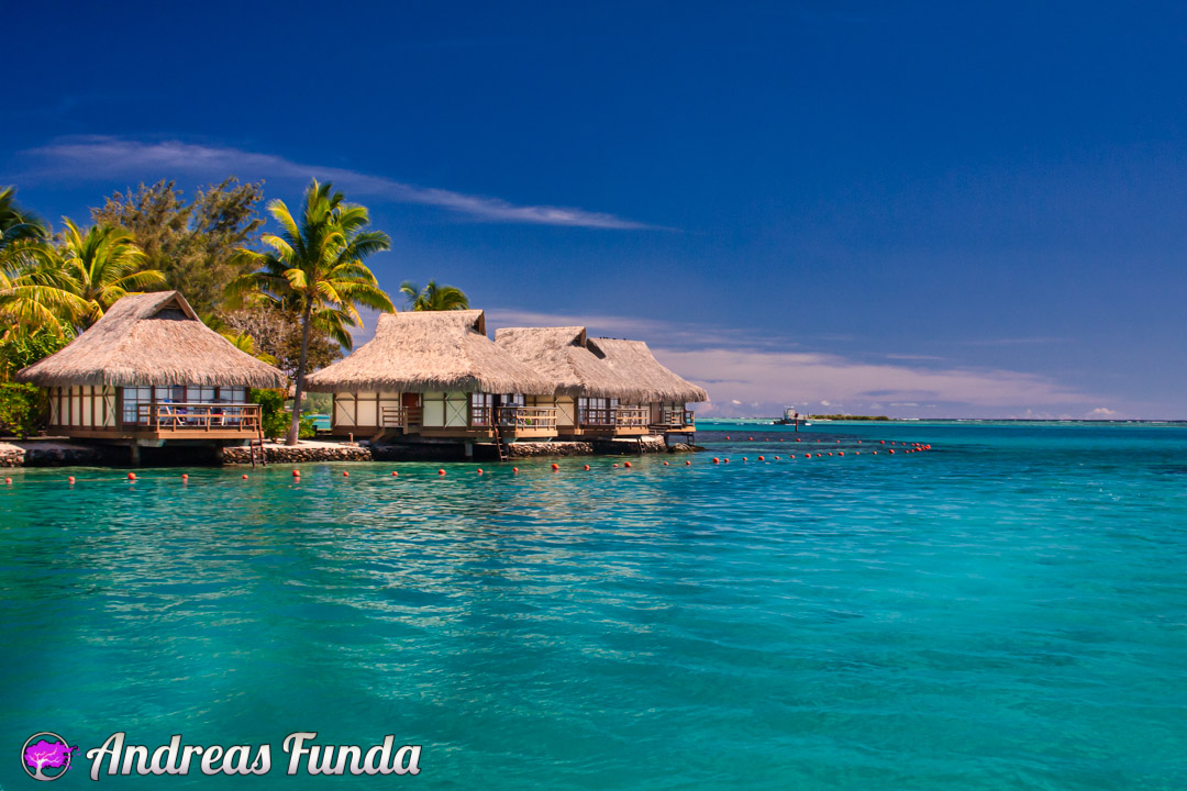 Portfolio | Andreas Funda